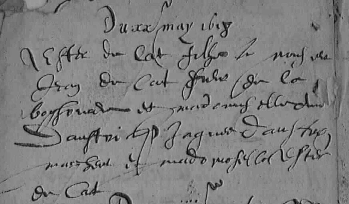 Naissance De Cat Ester 20_05_1618.jpg